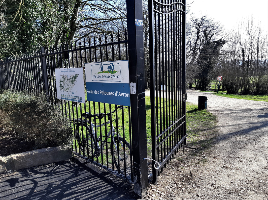 Parc des Coteaux d'Avron-讷伊普莱桑斯必去景点
