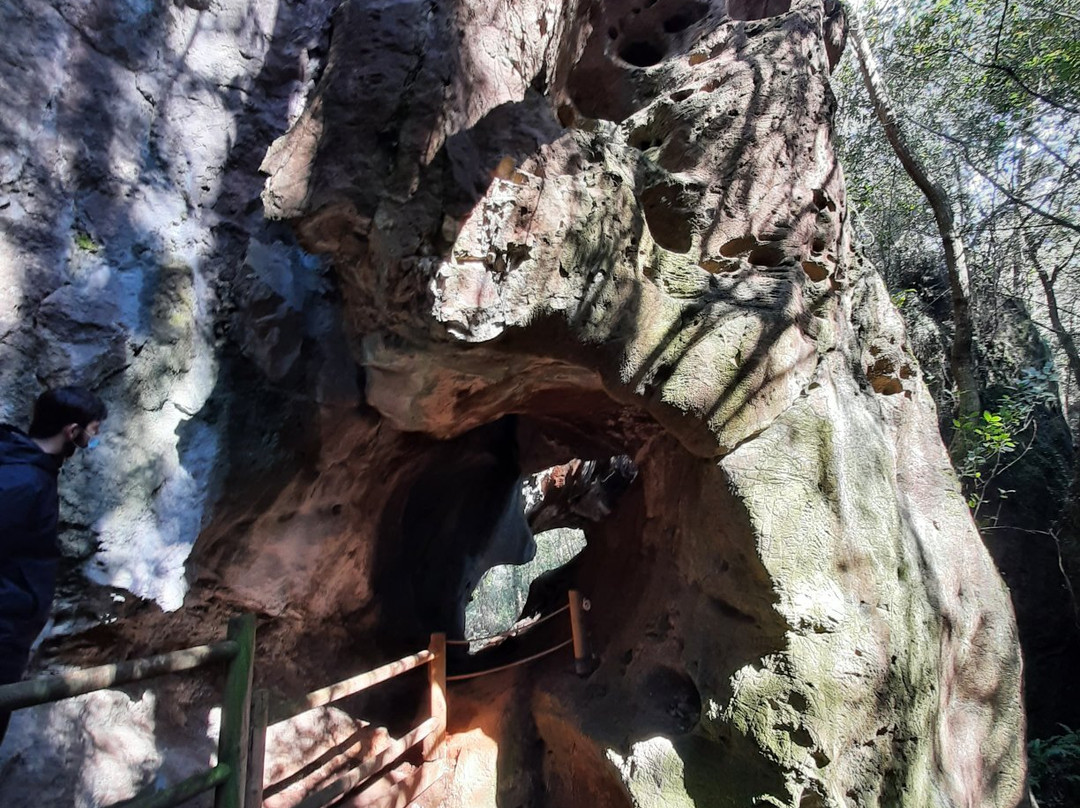 Cuevas de Andina景点图片