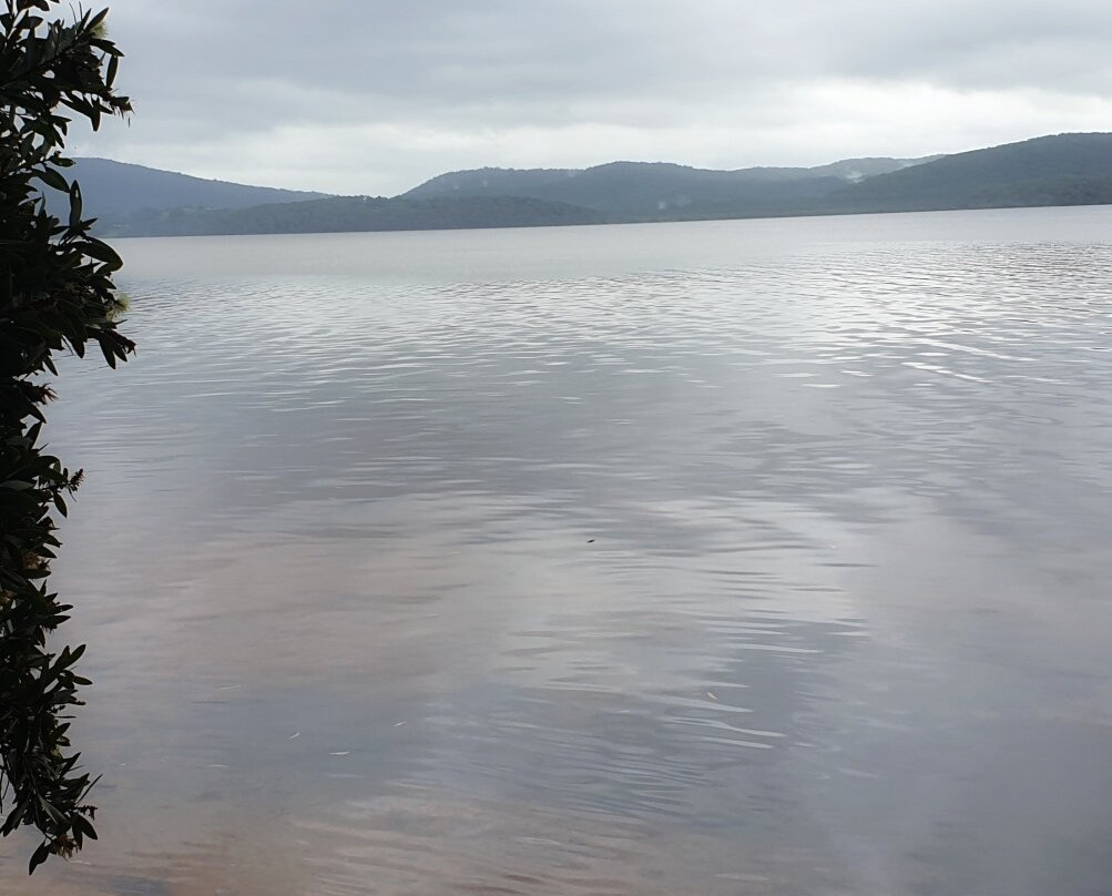 The Green Cathedral-Elizabeth Beach必去景点