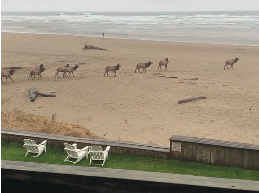 Schooner's Cove Inn主图