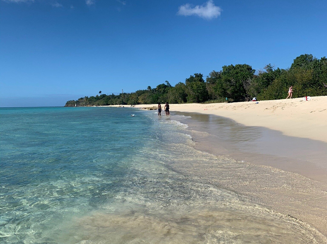 Rhythms at Rainbow Beach-Frederiksted必去景点