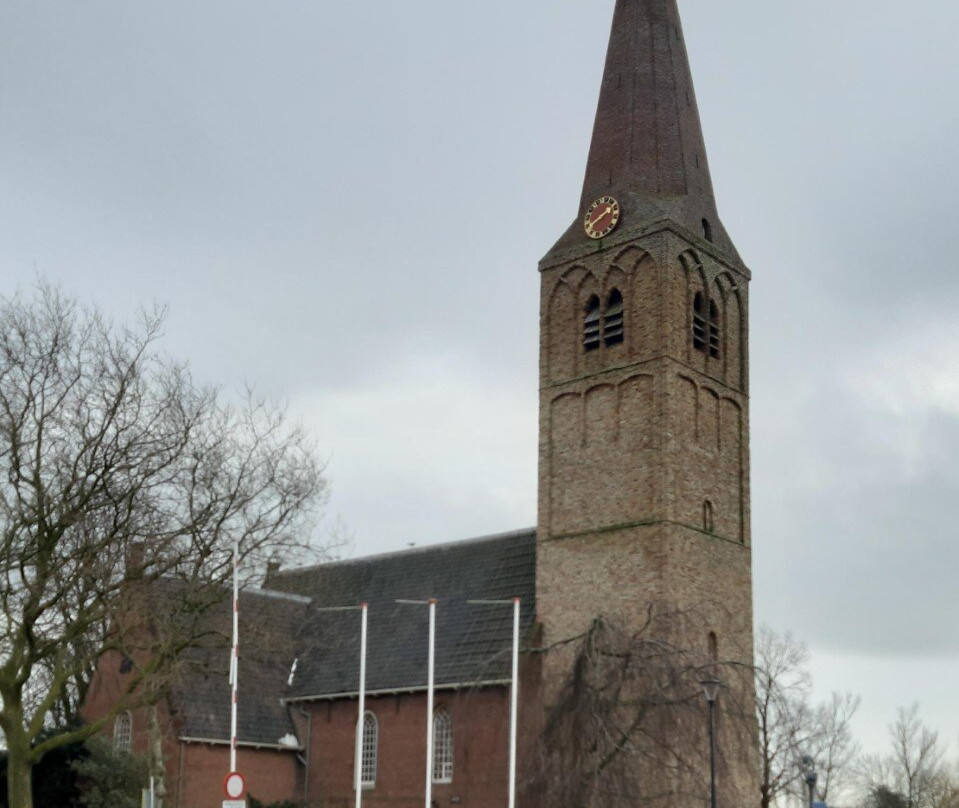 Rijksmonument Dorpskerk Heemskerk景点图片