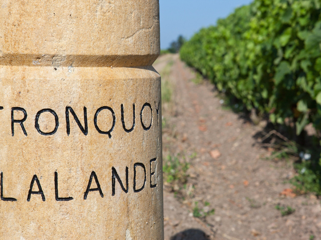 Château Tronquoy-Lalande-Saint-Estephe必去景点