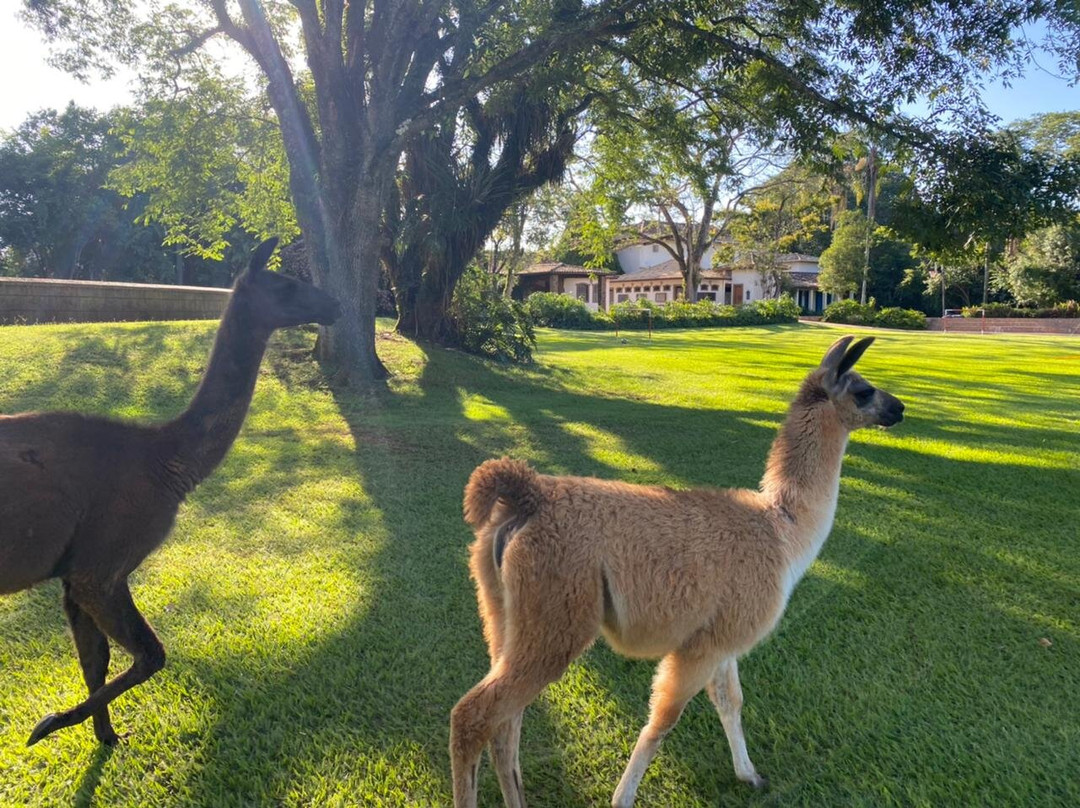 Hotel Carroção主图