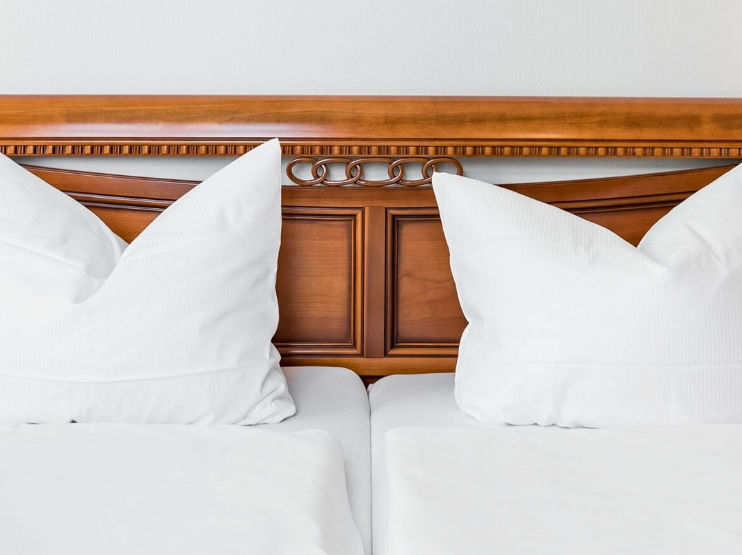 Hotel Prinz Heinrich主图
