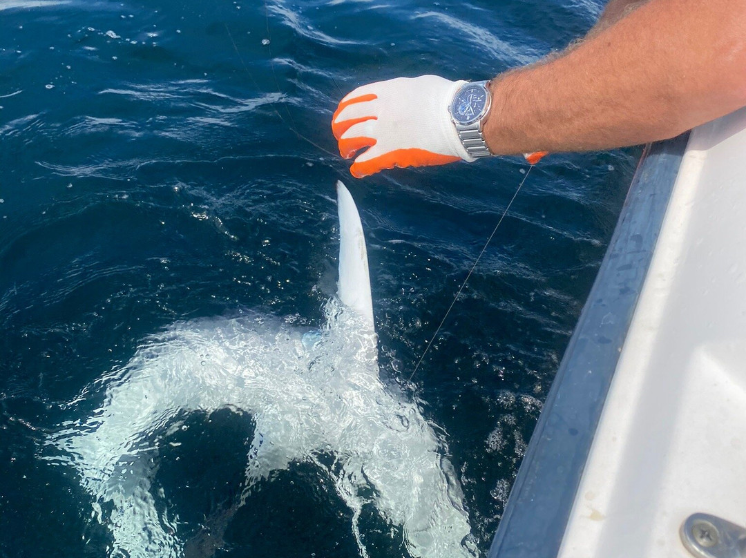 Reel Salty Charters-旧奥查德比奇必去景点