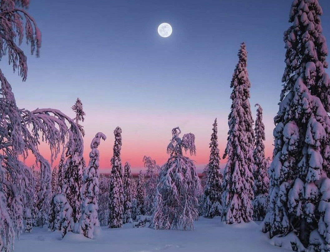 Riisitunturi National Park-Posio必去景点