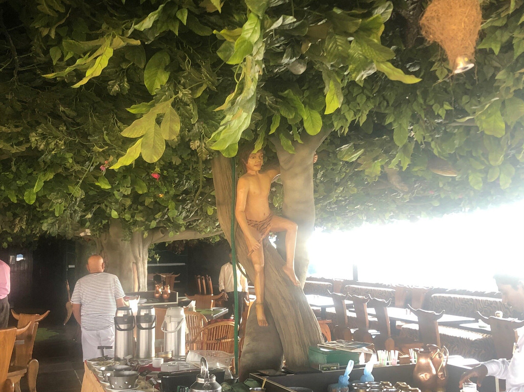 The President Hotel, Hubli主图