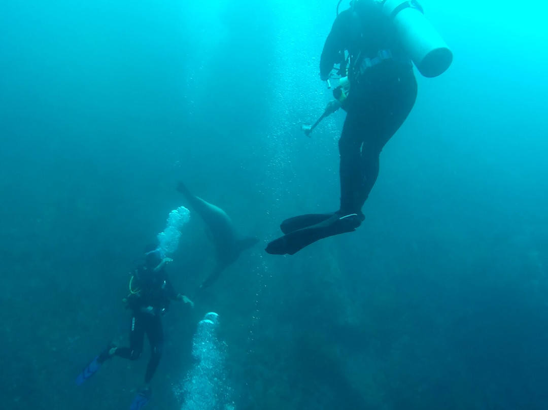 Galapagos Fishing Adventures Gustavo Tour S.A-Puerto Baquerizo Moreno必去景点