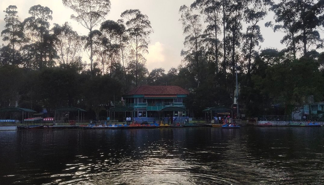Yercaud Lake-亚尔考德必去景点