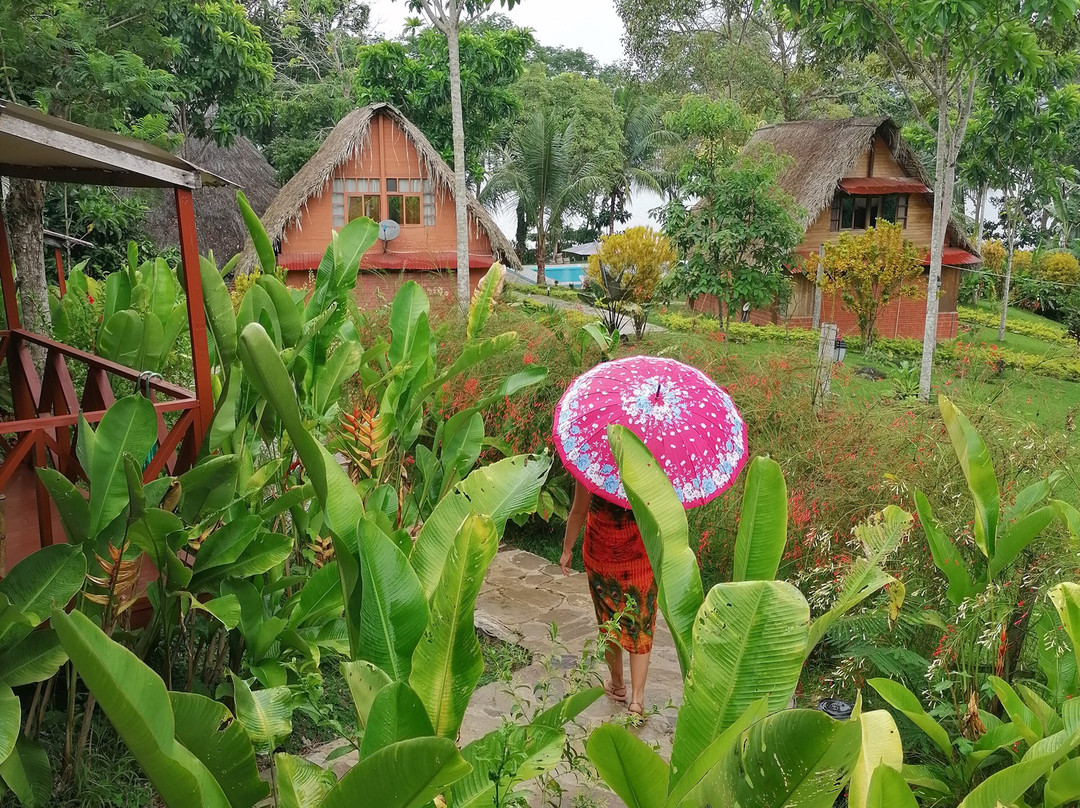 Las Jawas Lodge主图