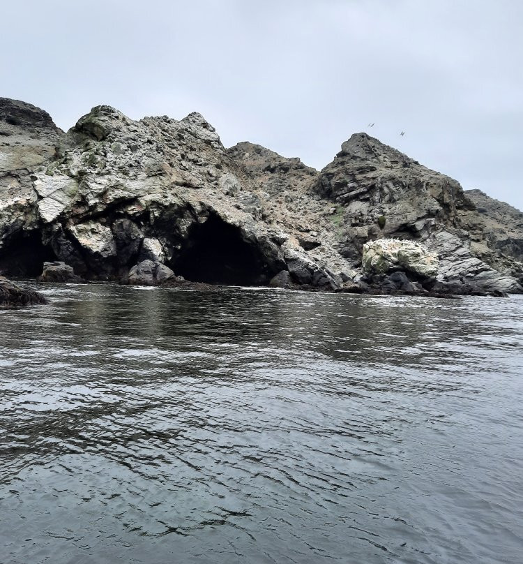 Reserva Nacional Pinguino de Humboldt景点图片