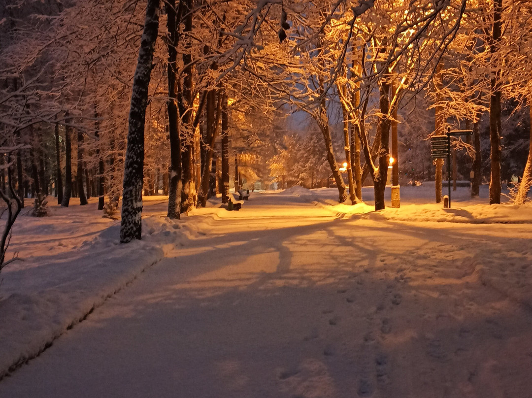 Zvenigorod Park Hotel主图