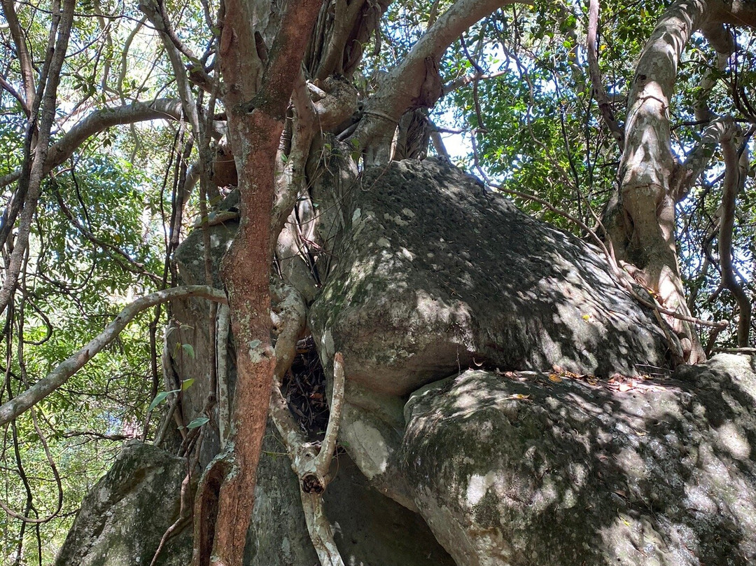 Grotto Walk-North Nowra必去景点
