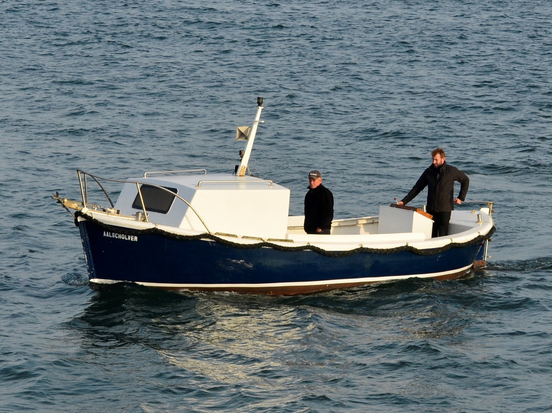 Bootverhuur Oosterschelde-Yerseke必去景点