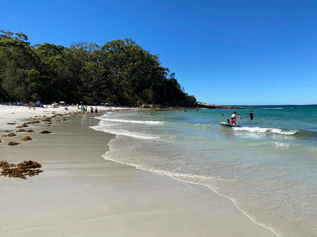 Blenheim Beach景点图片