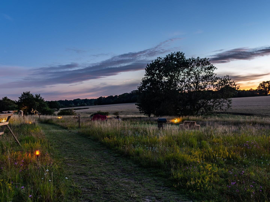 Finchingfield Camping