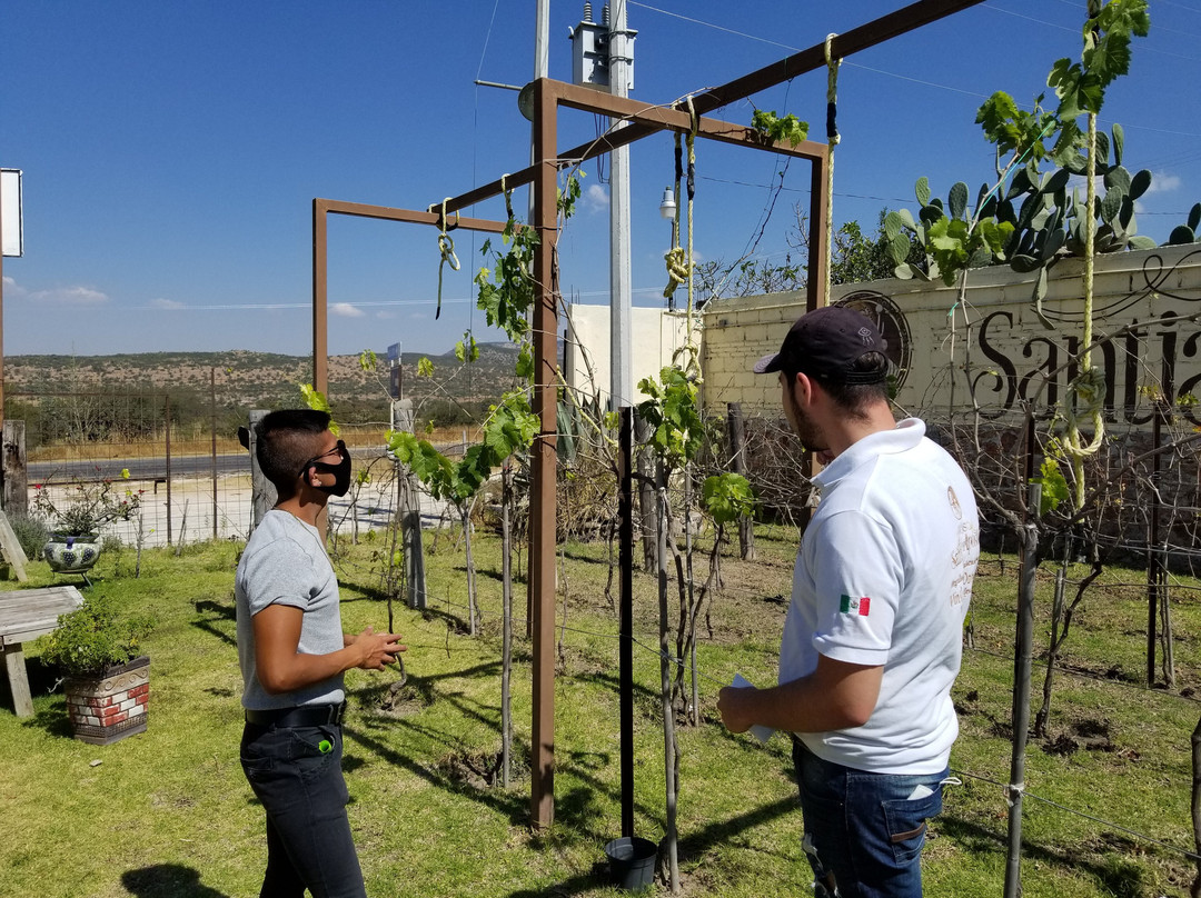 Vinicola San Patricio-Tequisquiapan必去景点