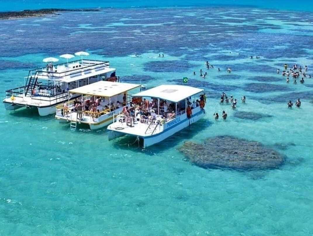 Gales de Maragogi-Maragogi必去景点