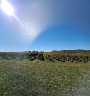 Big Cork Vineyards-Rohrersville必去景点