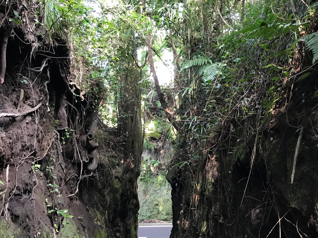 Senzu no Kiridoshi-大岛町必去景点