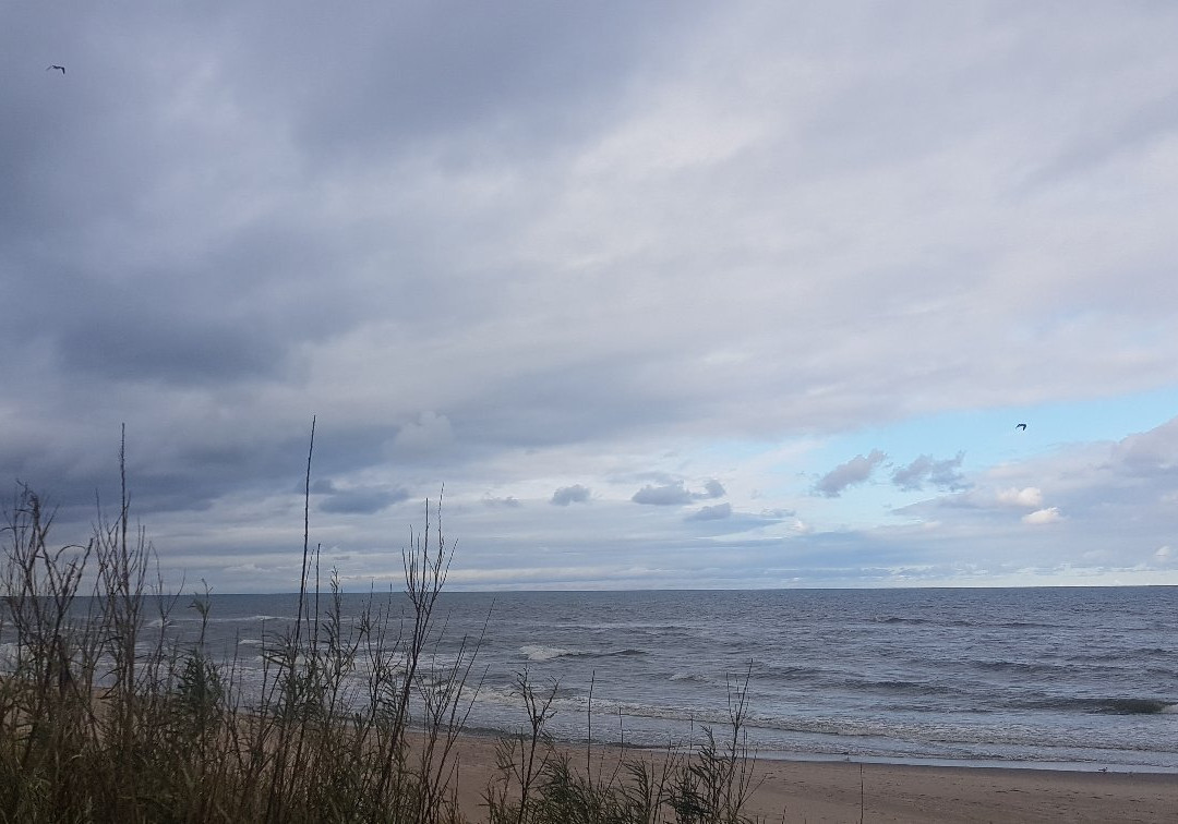 Dabki Beach景点图片