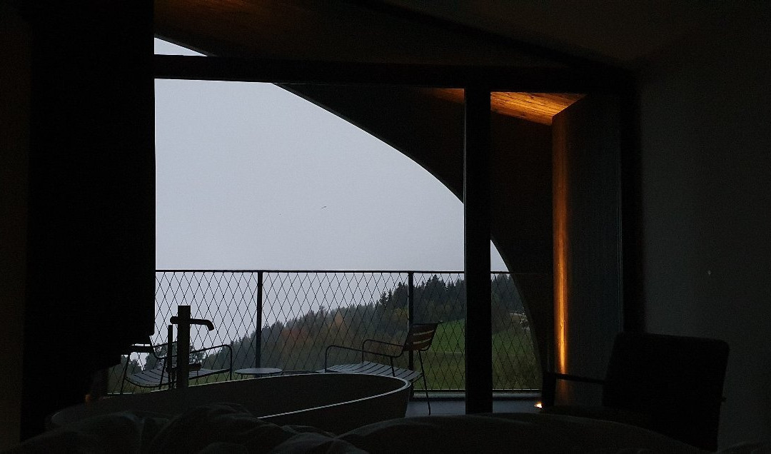 Hotel Milla Montis主图