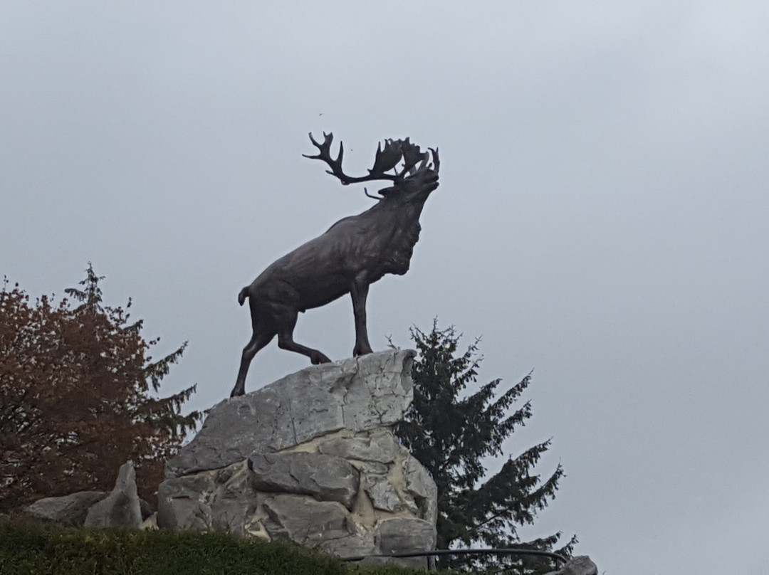 Mémorial Terre-neuvien De Beaumont-hamel景点图片