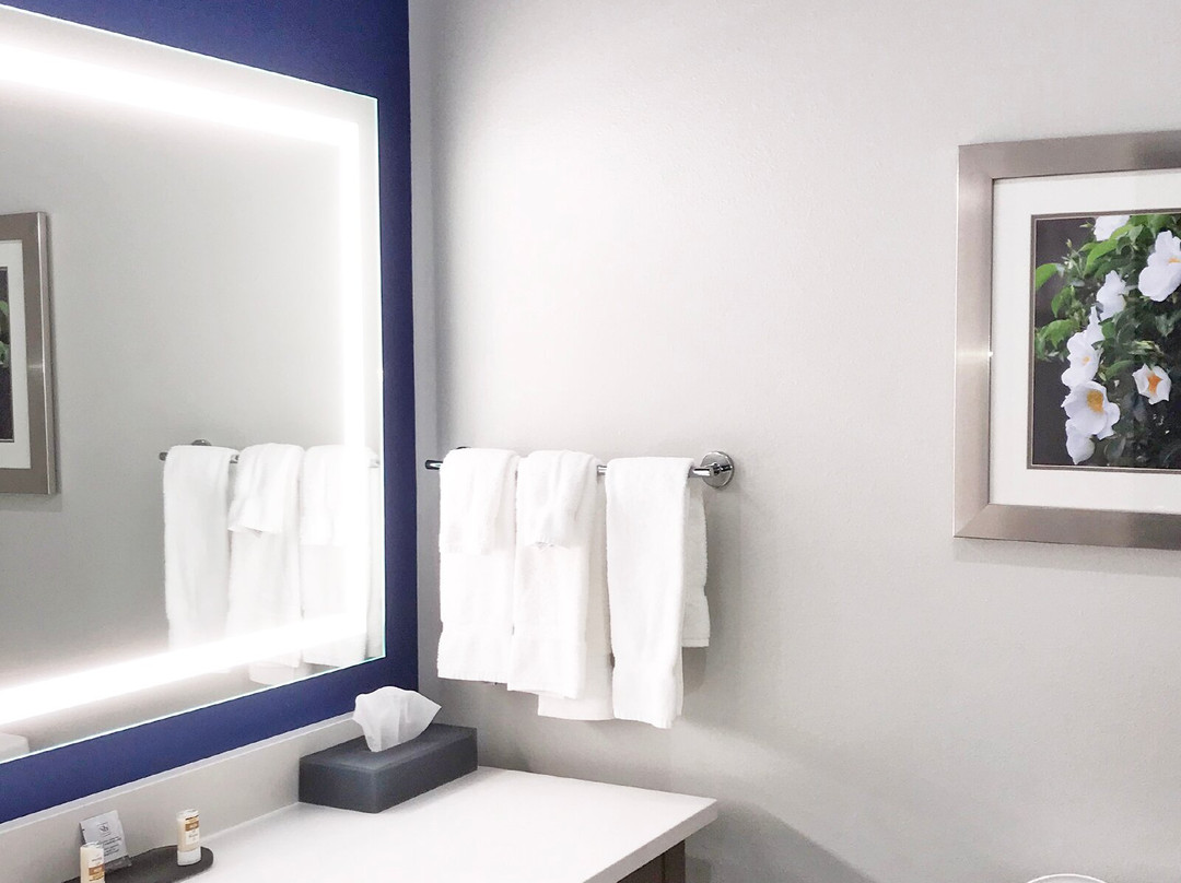 La Quinta Inn & Suites by Wyndham Tifton主图