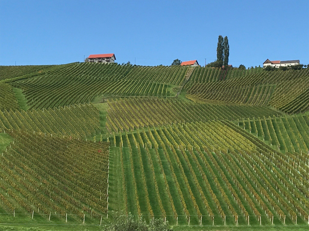 Weingut Karl & Gustav Strauss-Gamlitz必去景点