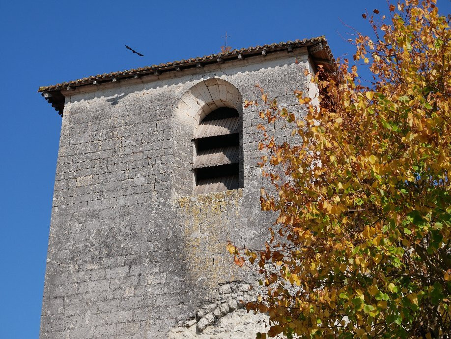 Eglise Saint Martin景点图片