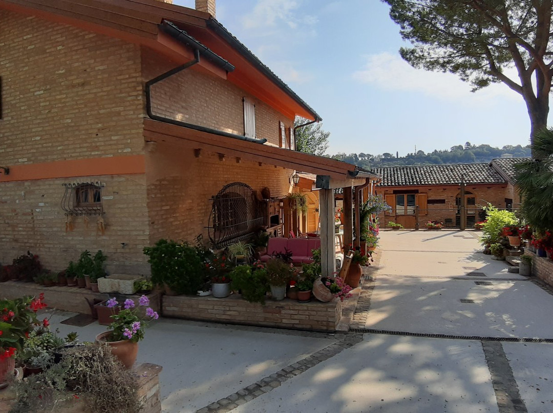 B&B Il Cavallino主图