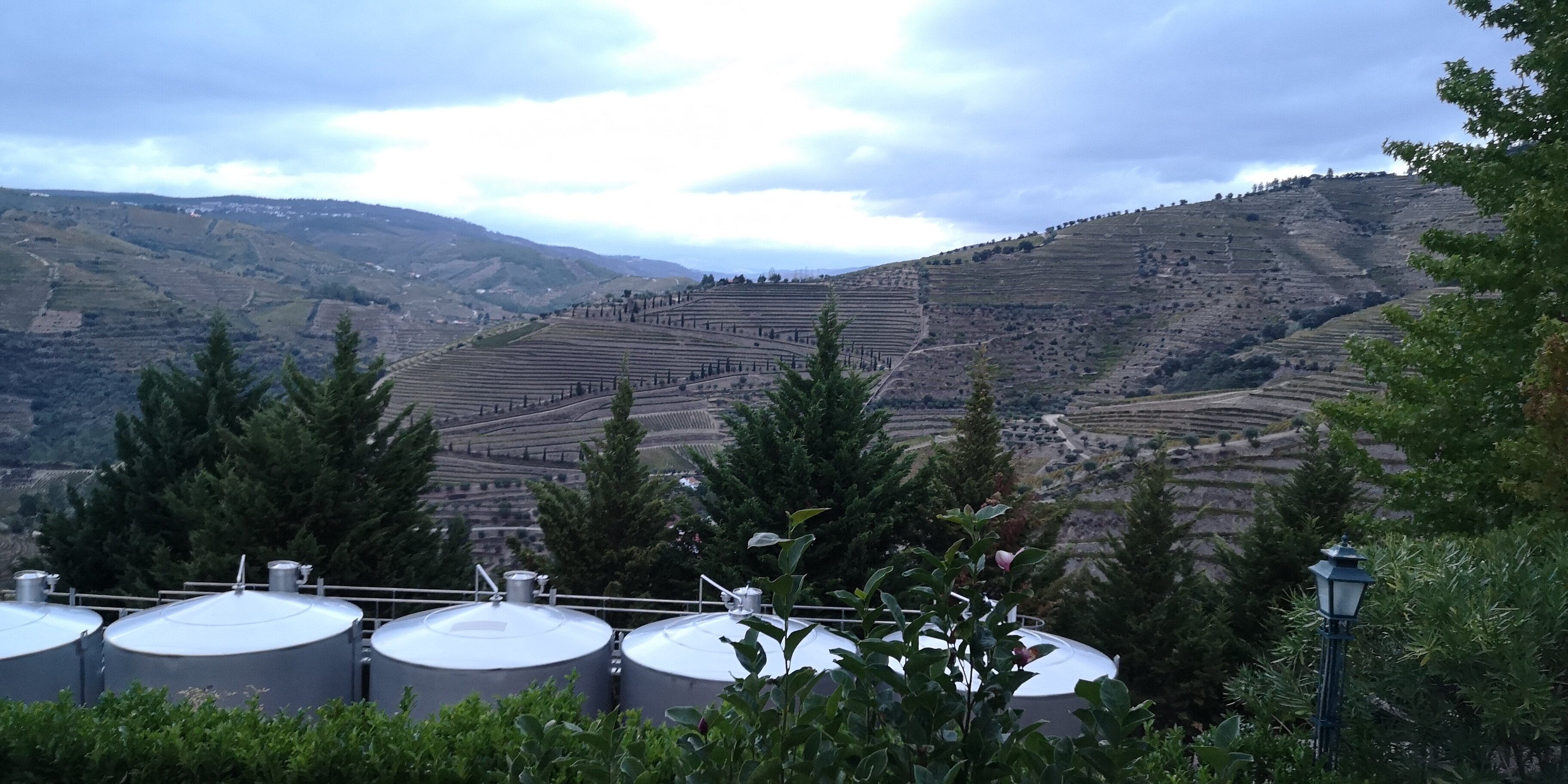 Hotel Quinta do Silval-酒店景观