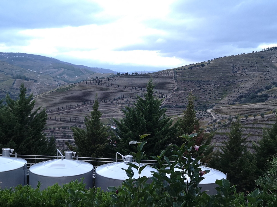 Hotel Quinta do Silval主图