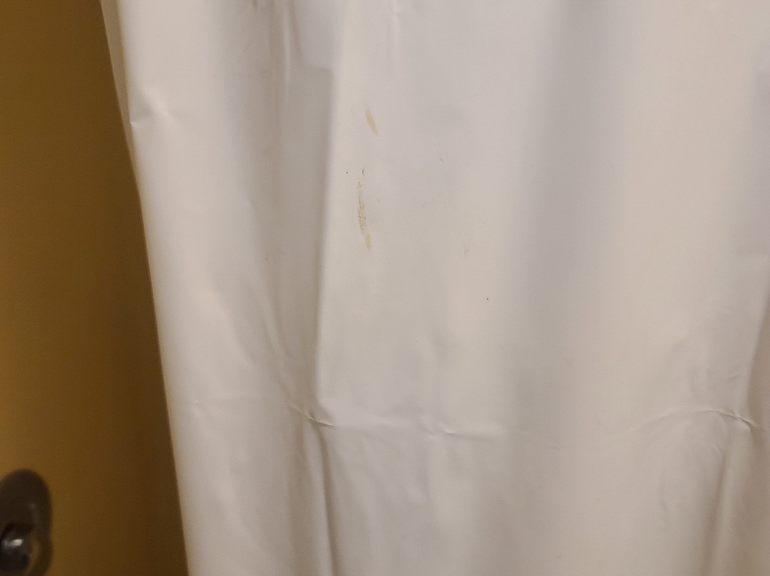 The Springs Motel主图