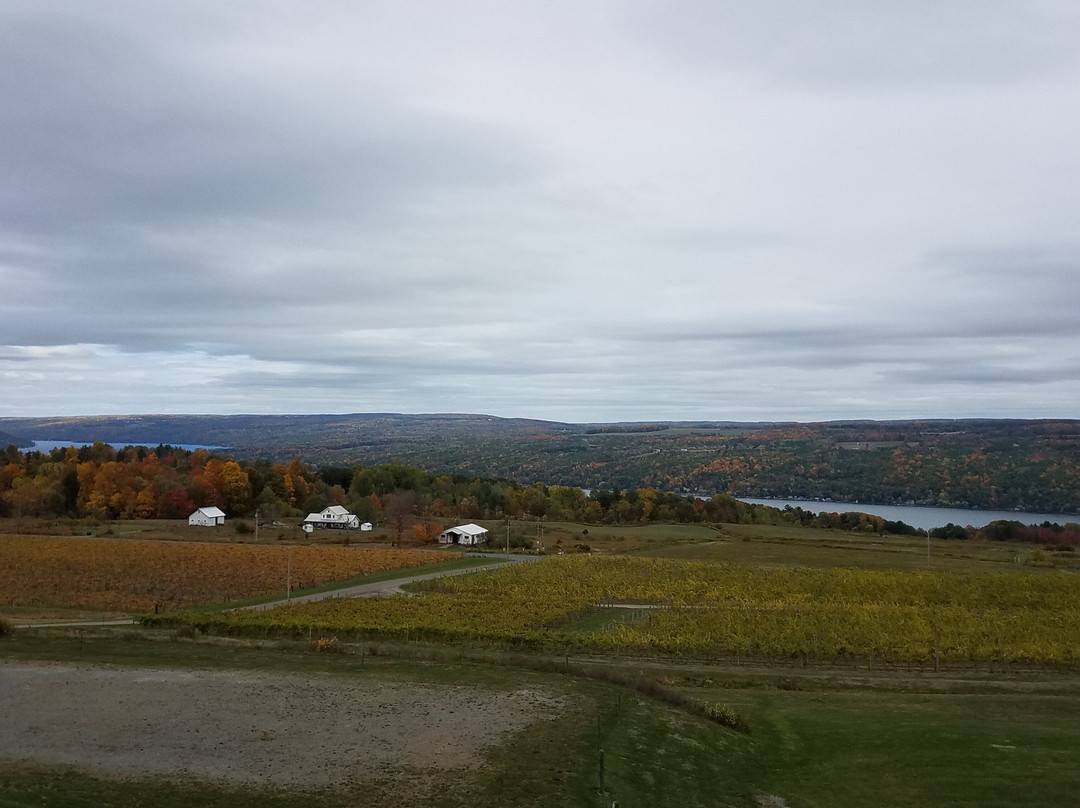 Heron Hill Winery景点图片