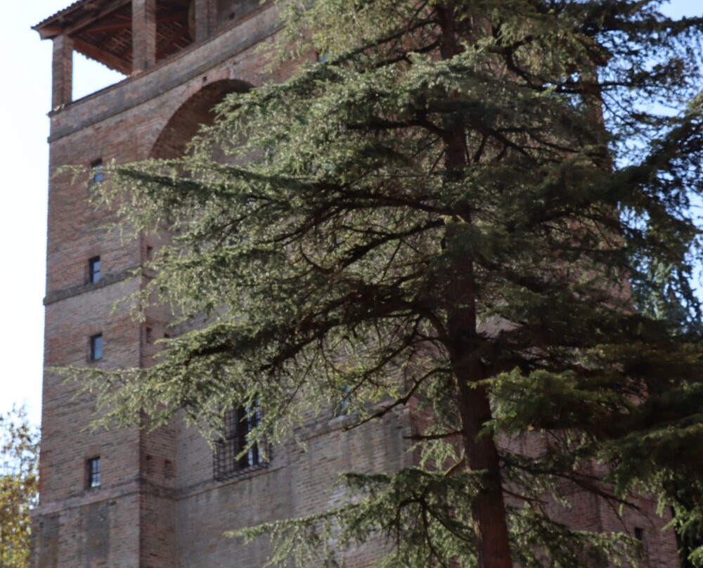 Torrione Farnese di Castell'Arquato景点图片