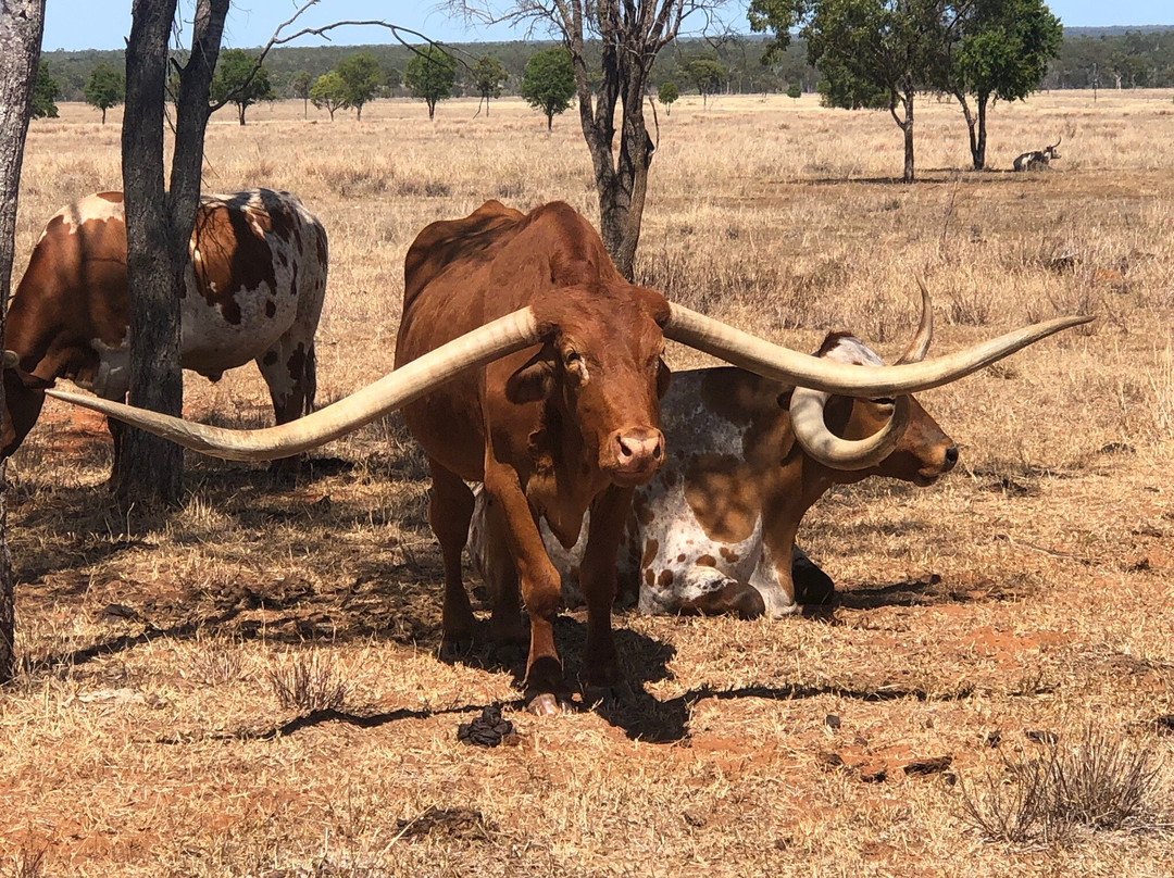 Leahton Park-查特斯堡必去景点
