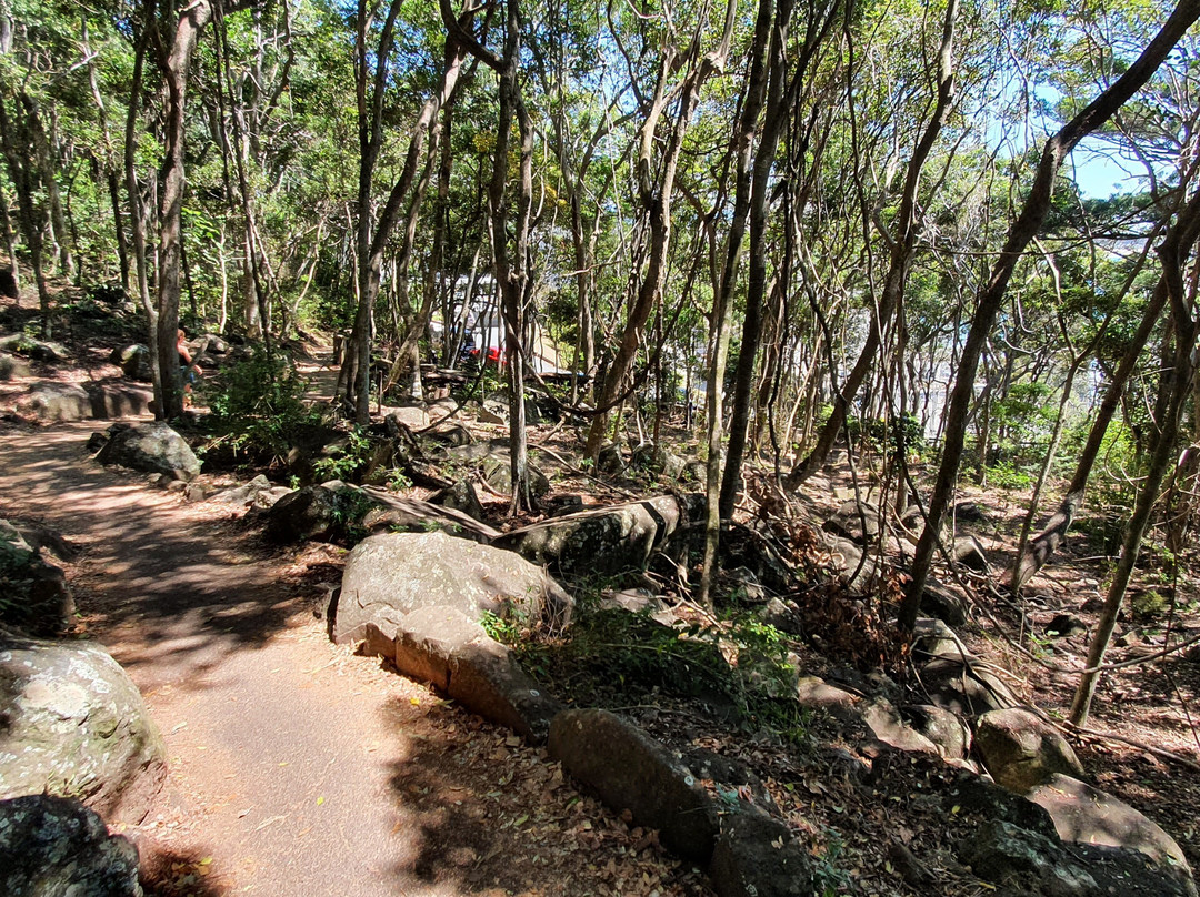 Ocean View Lookout Track-伯利角必去景点