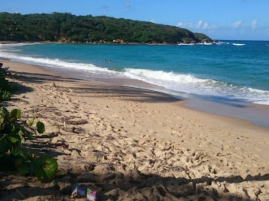 Cerromar Beach景点图片