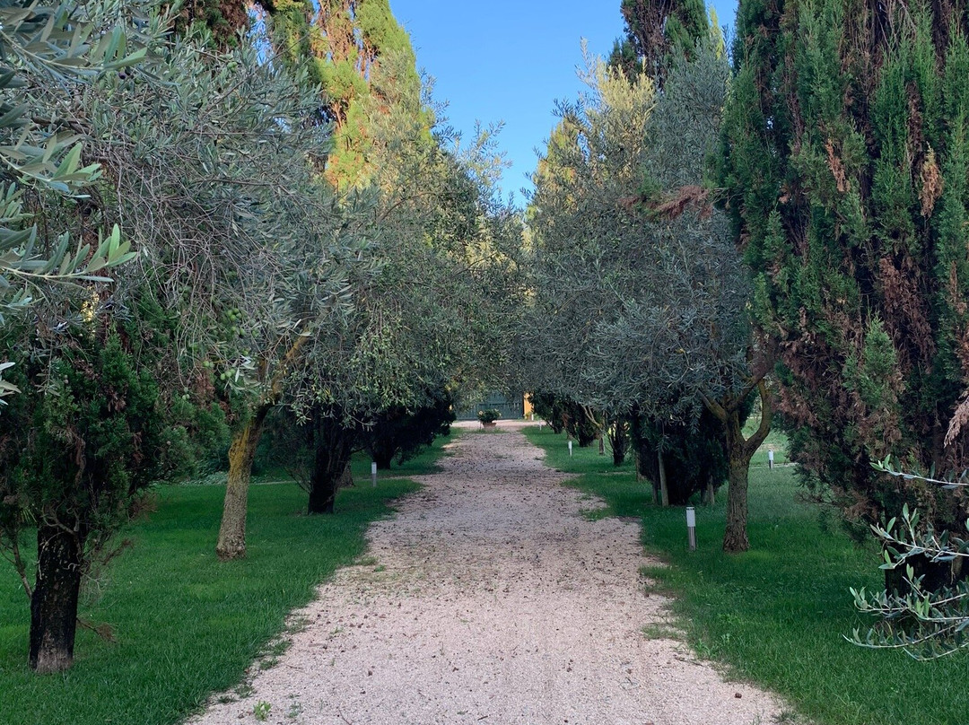 Azienda Agricola Leda' d'Ittiri-阿尔盖罗必去景点