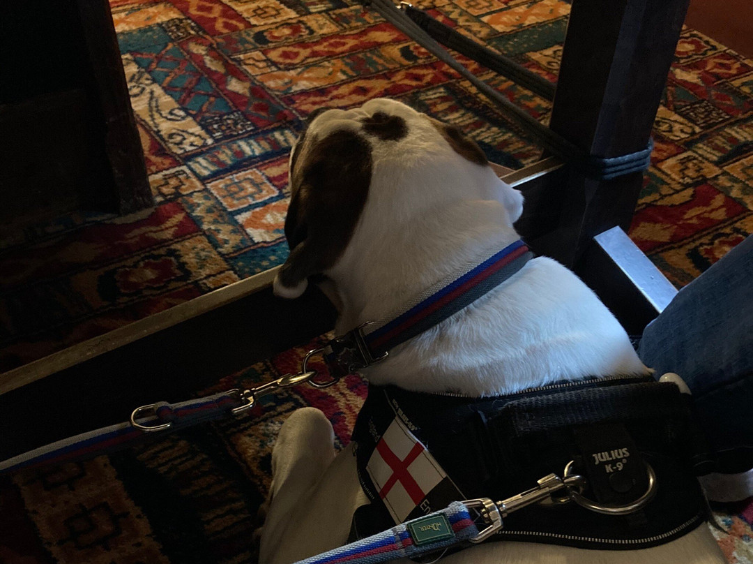 Sticker旅游攻略图片