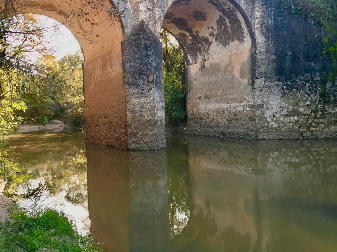 Ponte do Couto景点图片
