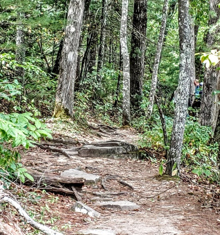 Cumberland Mountain State Park景点图片