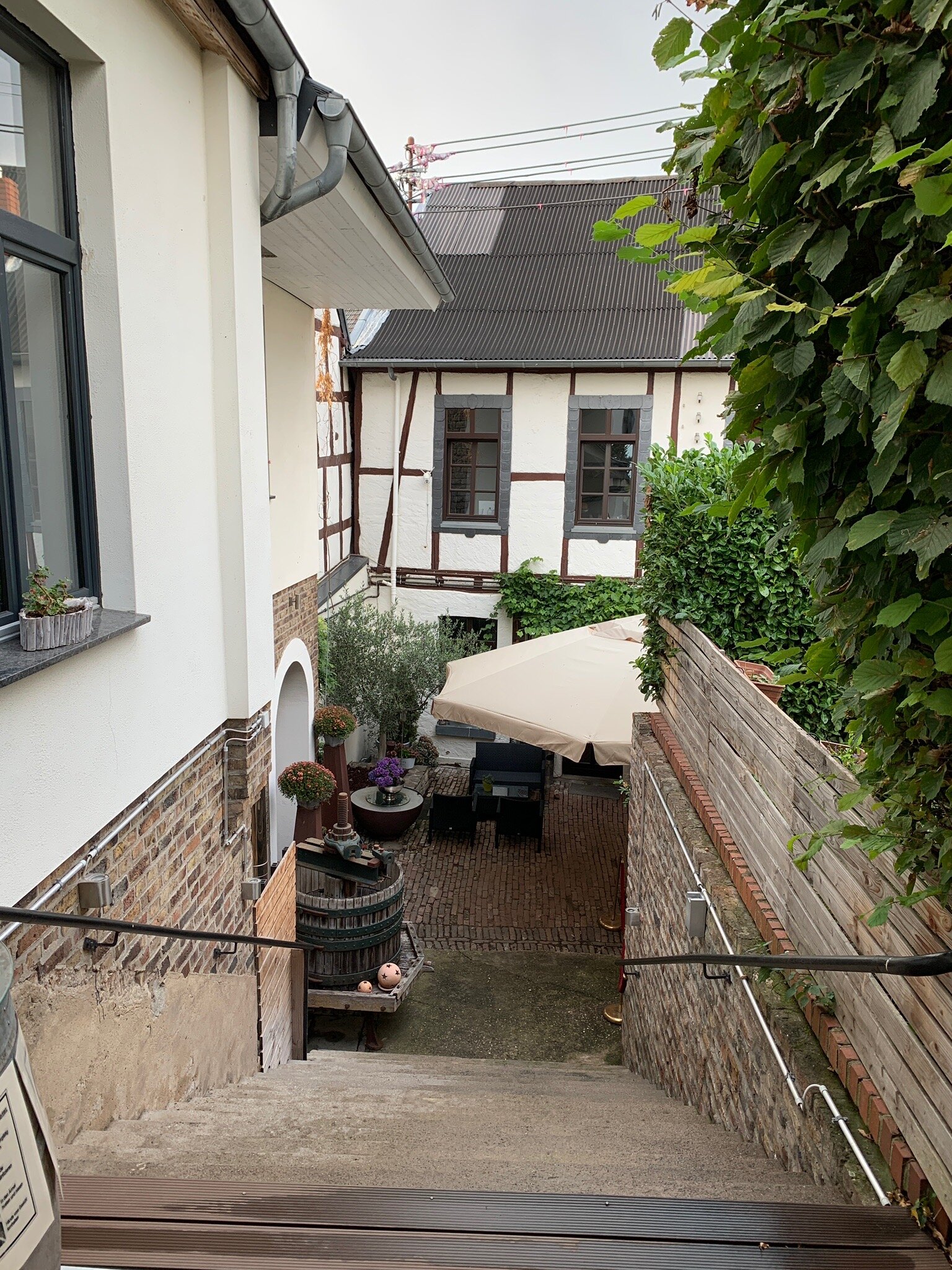 Tappe's-Hofgarten-官方