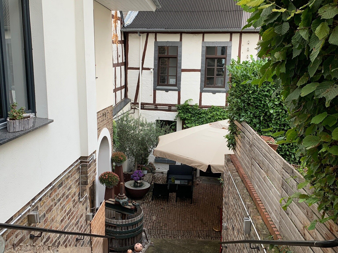 Tappe's-Hofgarten主图