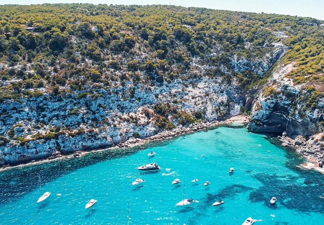 Flamingo Boat Charter ibiza景点图片