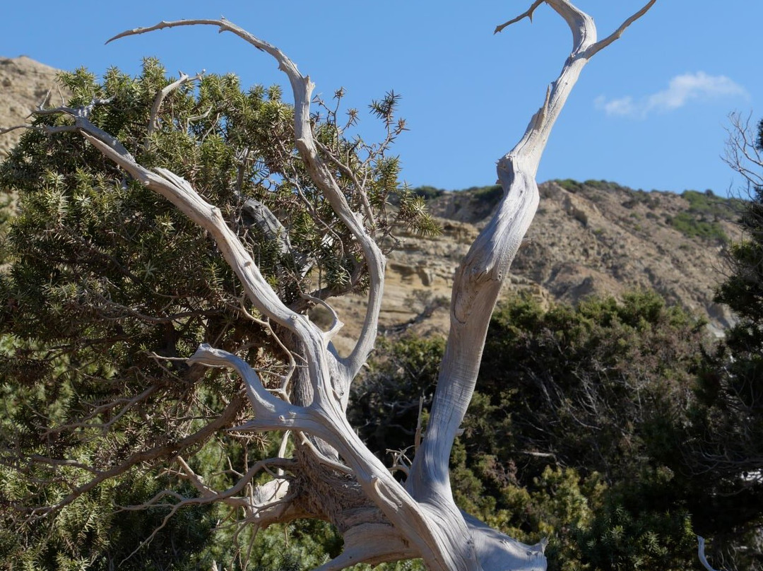 Potamos Beach-Gavdos必去景点