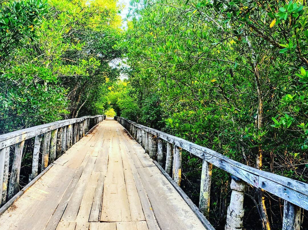 Praia Mangue Seco-Guriu必去景点