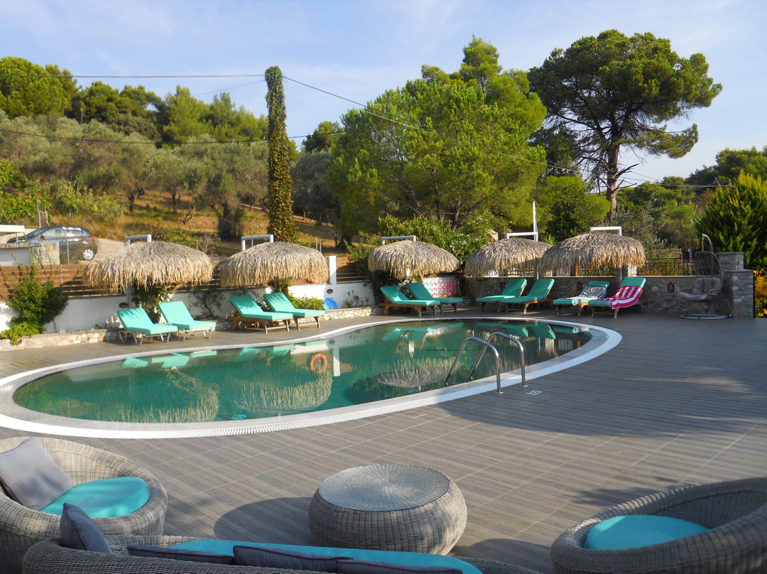 Theodora Studios主图